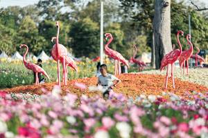 BIB: 
                            <button type="button" onclick="openModal(27344332)" class="btn btn-primary btn-sm float-right btn-popup" data-toggle="modal" data-target=".modal-high-quality">
                        <i class="fas fa-shopping-cart"></i> Add to Cart
                    </button>
                                            <button type="button" onclick="isThisMe(27344332, true)" class="btn btn-success btn-sm float-right btn-popup btn-isme hidden" data-toggle="tooltip" data-placement="bottom" title="นี่คือรูปของคุณใช่ไหม คลิกที่นี่เพื่อเอาเข้าอัลบั้ม">
                        <i class="fas fa-plus"></i> Add to album
                    </button>
                    <button type="button" onclick="isThisMe(27344332, false)" class="btn btn-warning btn-sm float-right btn-popup btn-isnotme hidden">
                        <i class="fas fa-ban"></i> Remove from album
                    </button>